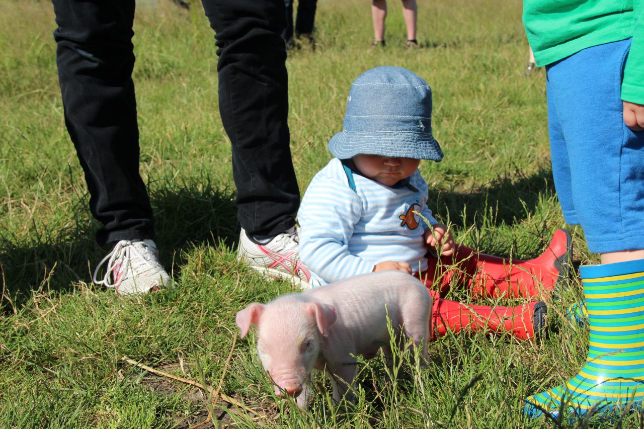 Besuch auf dem Schweinehof Erichinger